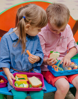 Schengen Visa Access